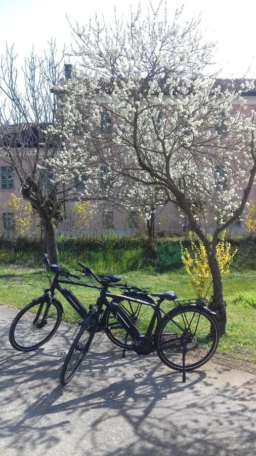 Agriturismo Casa Matilde Lauriano Eksteriør billede